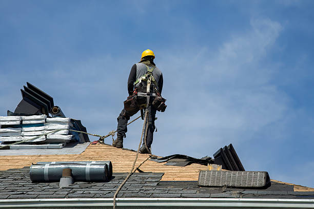 Professional Roofing technician working in New Germany, MN